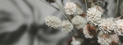 ドライフラワーの画像